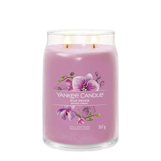 Wild Orchid